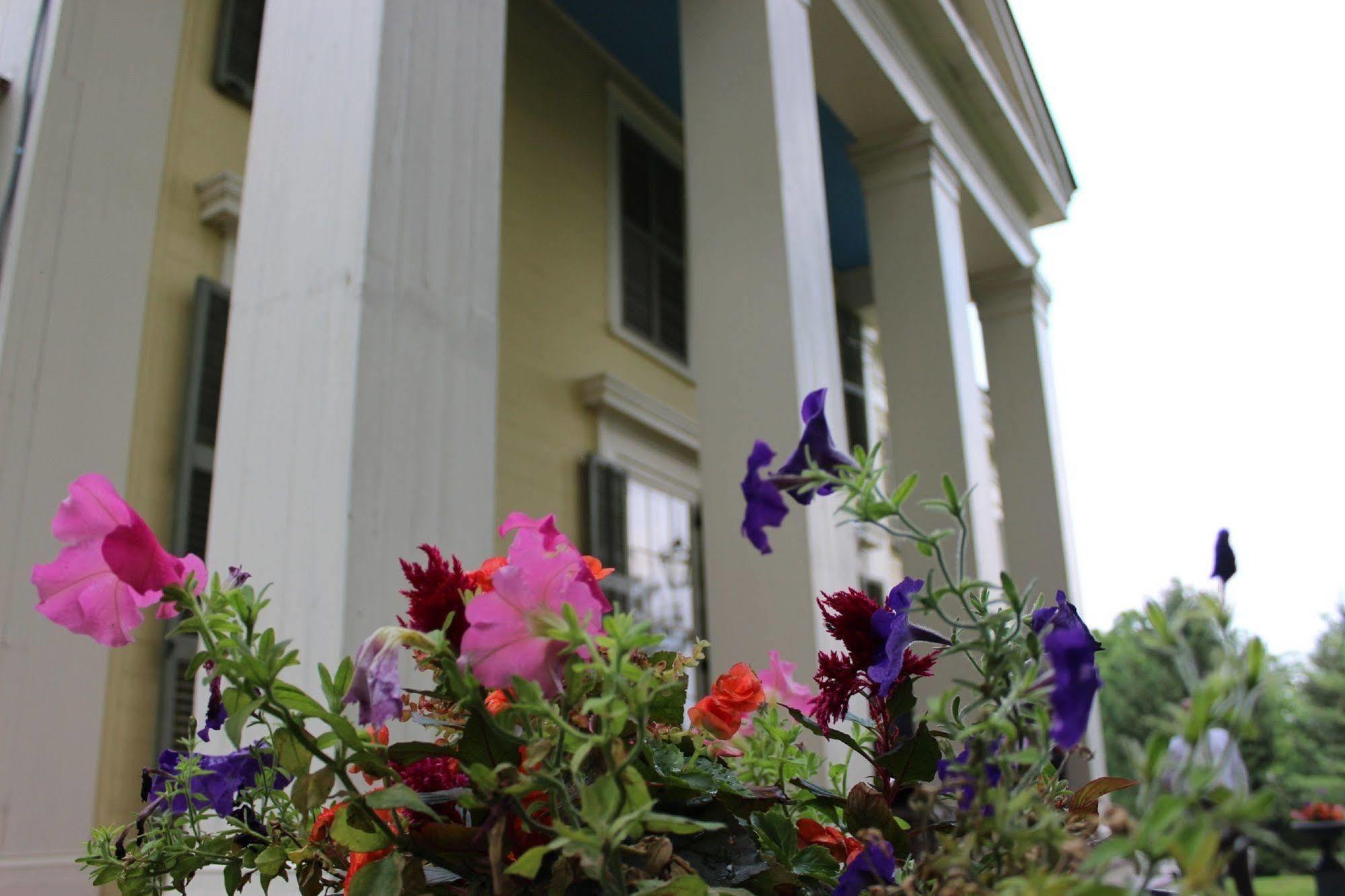 Oakcliff Bed And Breakfast Halfmoon Extérieur photo